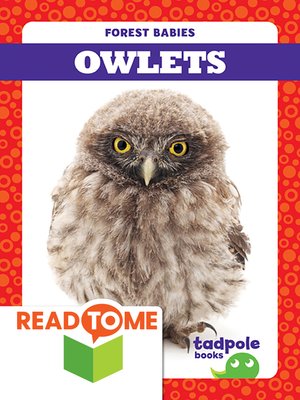 cover image of Owlets